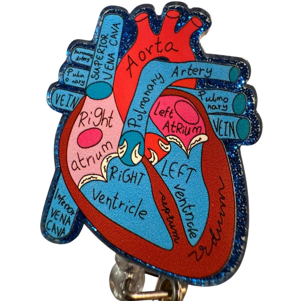 Anatomical Heart Retractable ID Badge Reel, Cardiologist, Nurse, Doctor NWT